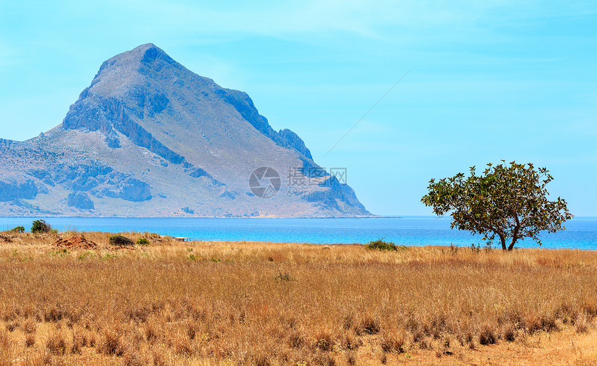 独自一棵树在蔚蓝的Tyrrhenian海风景如画的海湾前蒙特科法诺山从圣玛格丽塔海滩马卡里圣维托罗卡波地区西西里岛意大利图片