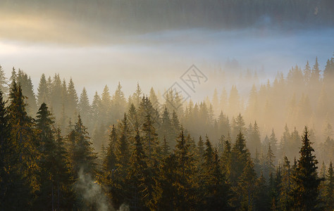 在喀尔巴阡山脉乌克兰伊凡诺弗基夫斯克州亚布卢尼西村和过道秋季山坡上早起雾第一次清晨阳光照耀乌克兰伊凡诺弗基夫斯克州背景图片