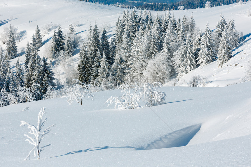 冬季平静的山地景观坡上有美丽的霜冻树木和滑雪乌克兰喀尔巴阡山图片