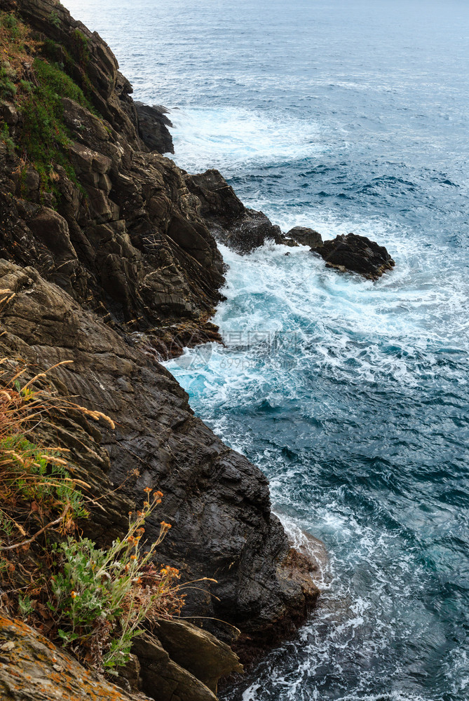 夏季马纳罗拉郊外美丽的海浪和岩石岸这是意大利古里亚CinqueTerreNationPark五座著名的村庄之一图片