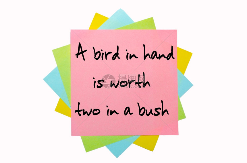 文字手头的鸟在灌木丛里值两块用手字写在一堆有色粘贴笔记上图片