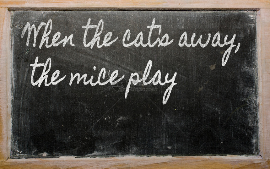 笔写黑字板作当猫离开时老鼠玩图片