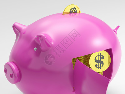 美洲和加勒比地区美洲猪展示货币和投资设计图片
