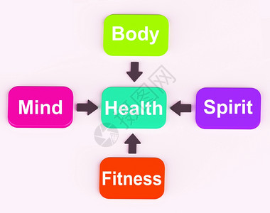 带四箭显示程序或说明的多彩图表显示精神身体和健康的图表图片