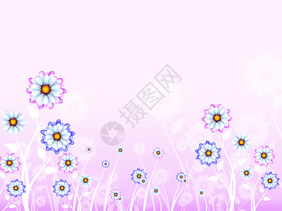 鲜花背景意味着春花和自然图片