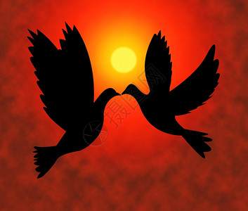 和平鸽子展示爱不是战争和飞翔背景图片