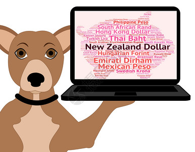 新西兰元汇率和美图片