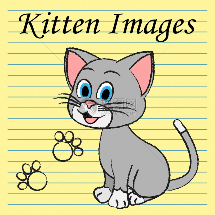 Kitten图像显示家用猫和小图片