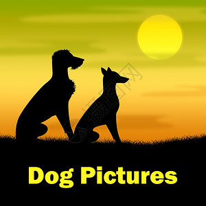 狗照片代表乡村相与夜间背景图片
