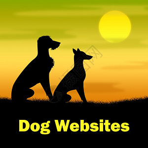 狗网站说明宠物牧草和夜间背景图片