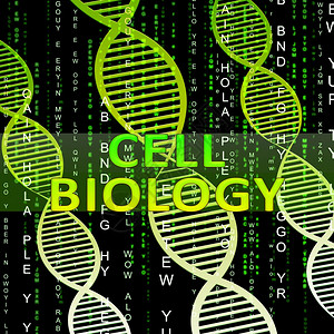 DNA螺旋体细胞生物螺旋体意味着生物技术研究3d说明背景