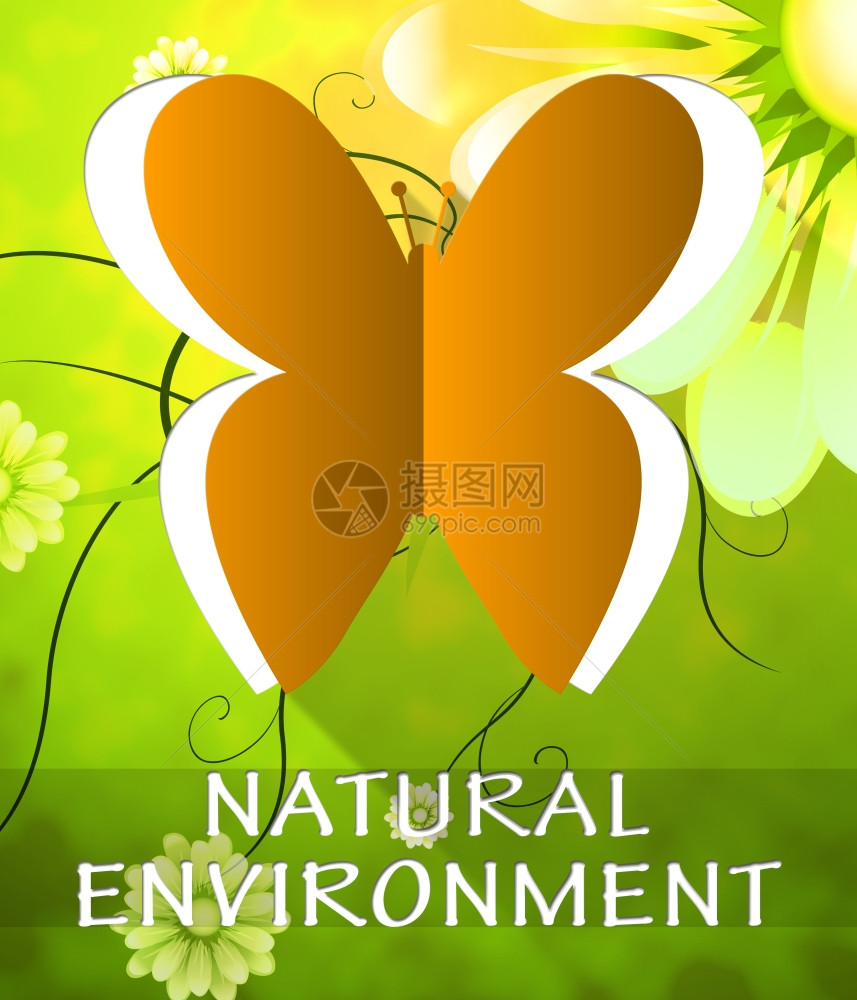 自然环境蝴蝶切除显示自然质3d说明图片