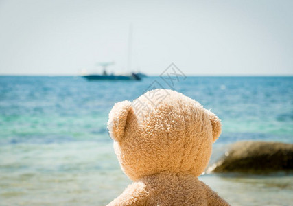泰迪熊从海滩远洋图片