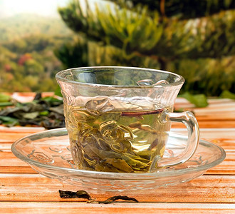 绿色茶代表新鲜饮料和健康图片