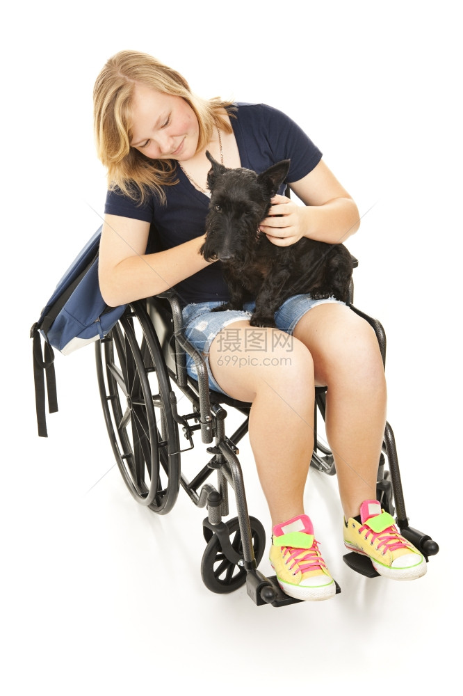 残疾少女在离开学校上时对她的苏格兰狗说好话图片