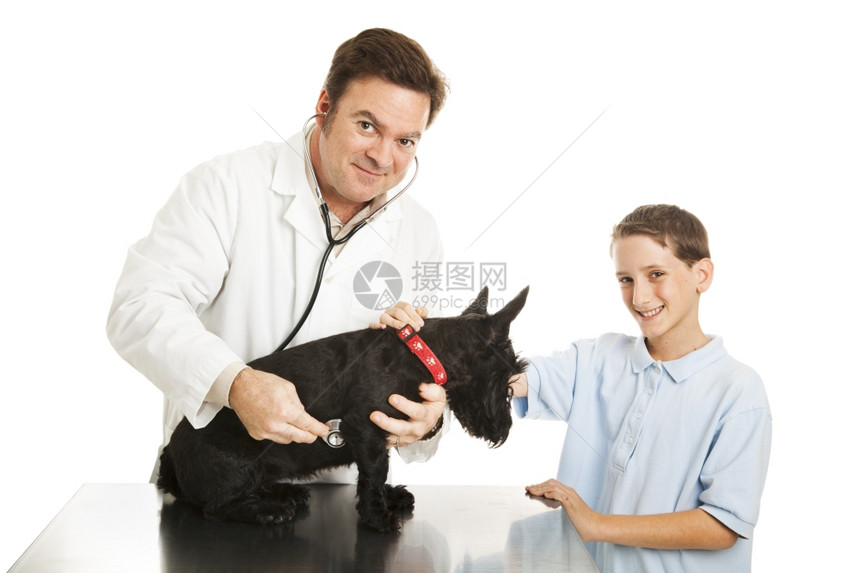 小男孩把他的狗带去兽医家检查孤立在白色上图片