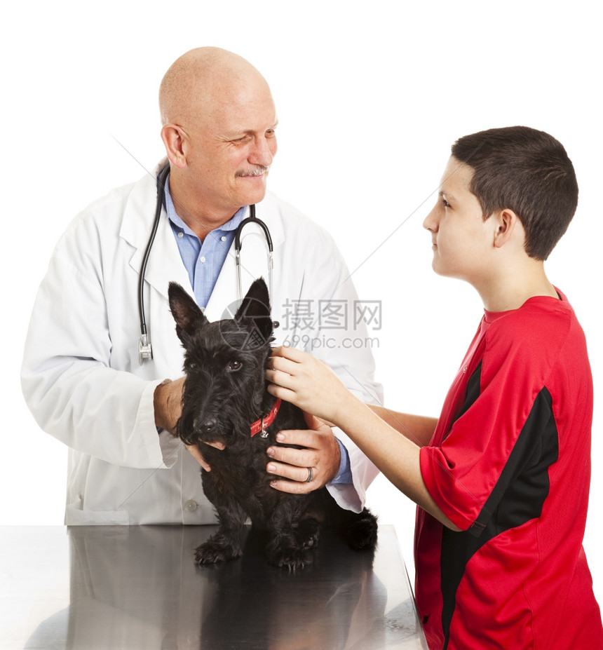 友善的兽医向一个忧心忡的小男孩保证他的狗会好起来图片