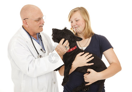 友善的兽医可以认识一个新的病人孤立白种图片
