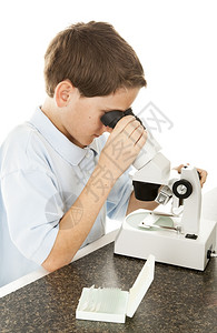 小男孩看显微镜下的幻灯片标签不是志它们只描述幻灯片上的内容图片