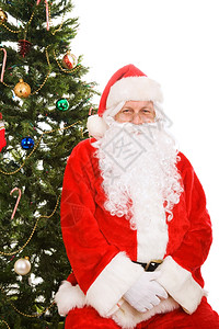圣诞老人坐在树下白着被孤立图片