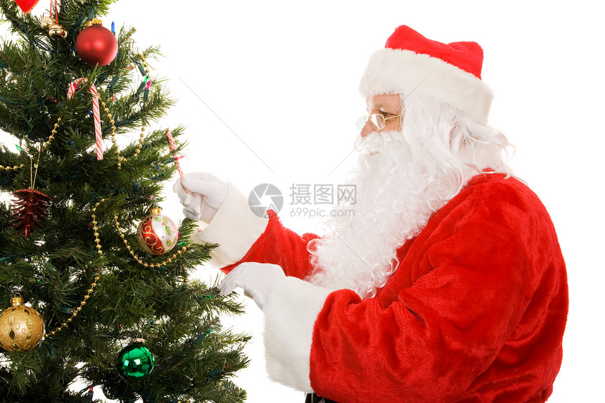 圣诞老人在树上装饰白种背景孤立无援图片