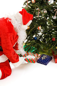 圣诞老人把礼物放在圣诞树下面白的孤立背景图片