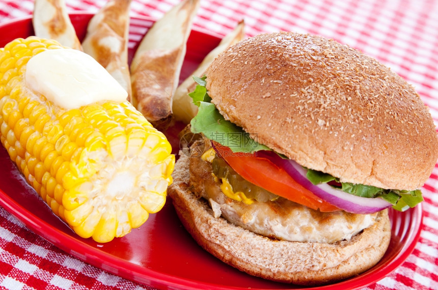 健康火鸡汉堡包全麦面烤土豆饼和玉米在鳕鱼上与红色和白的检查桌布图片