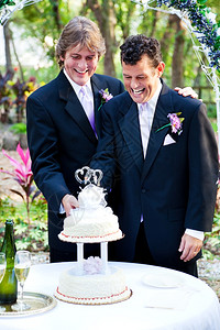 两个英俊的新郎在同志结婚仪式上切蛋糕图片