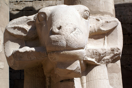 埃及卢克索卡纳寺的羊头图片