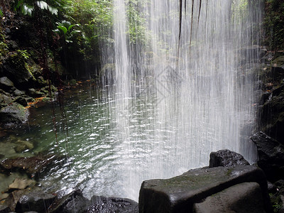 多米尼克岛雨林中的翡翠瀑布高清图片