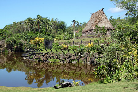 斐济河草和传统旧屋背景图片