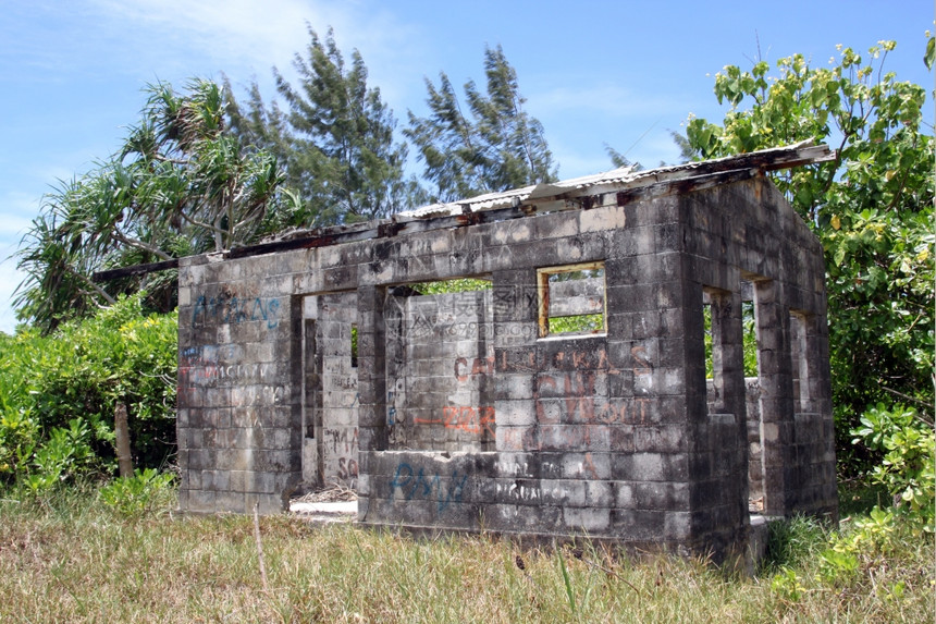 瓦努阿图Efate没有屋顶和树木的水泥块建筑图片