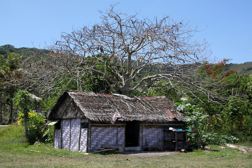 瓦努阿图Efate岛的树下木棚图片