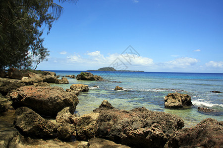 瓦努阿图Efate岛海滩上的岩石和树背景