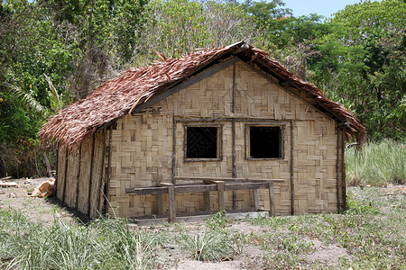 瓦努阿图森林附近的Woven小屋高清图片