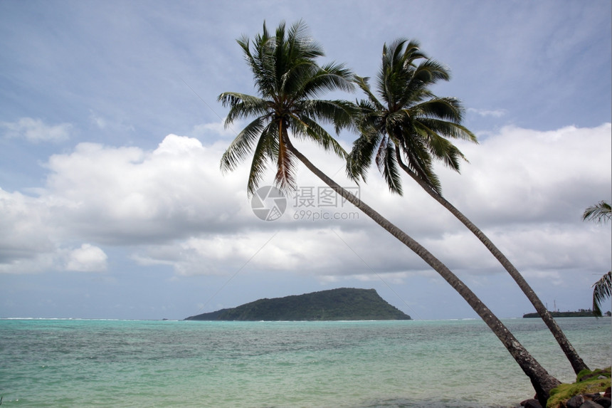 萨摩亚乌波卢海滩和岛屿上的棕榈树图片