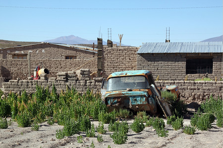 玻利维亚乡村花园的Rusty汽车图片