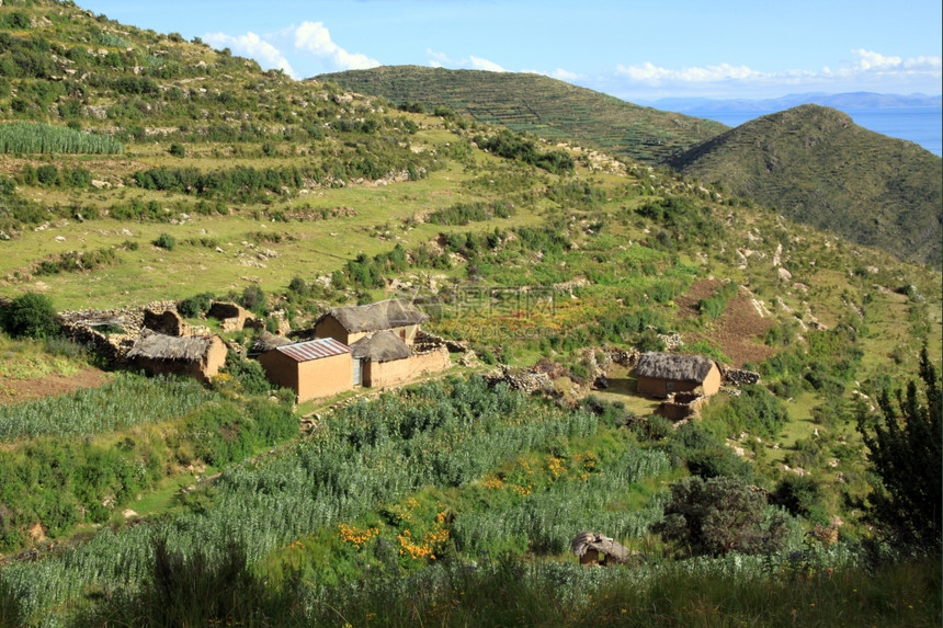 玻利维亚索尔岛山坡上的农场图片