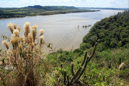 阿根廷与巴拉圭边境的帕纳河景象图片