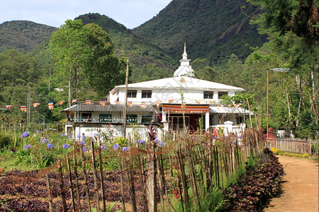 亚当在斯里兰卡的顶峰下加尔根和佛教寺庙图片