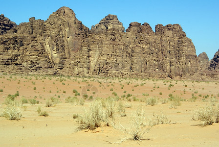 约旦瓦迪鲁姆沙漠中的山脉和灌木图片