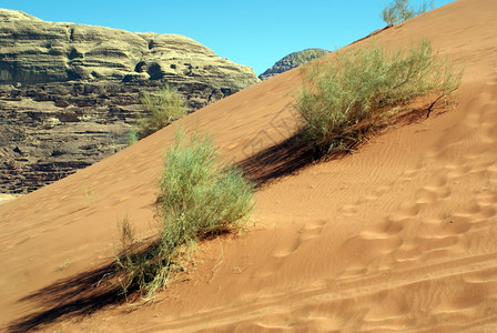 布什在约旦瓦迪鲁姆沙漠大巴罕山坡上图片