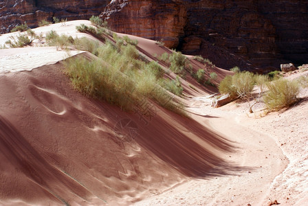 约旦瓦迪鲁姆山沙漠中的小巴图片