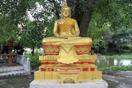 泰国大城府瓦特普拉迪沙树下的佛陀图片