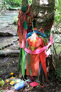 泰国Erawan家公园附近河边带衣服的神圣树图片