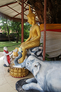 老挝万象修道院的白猴子大象和金佛图片