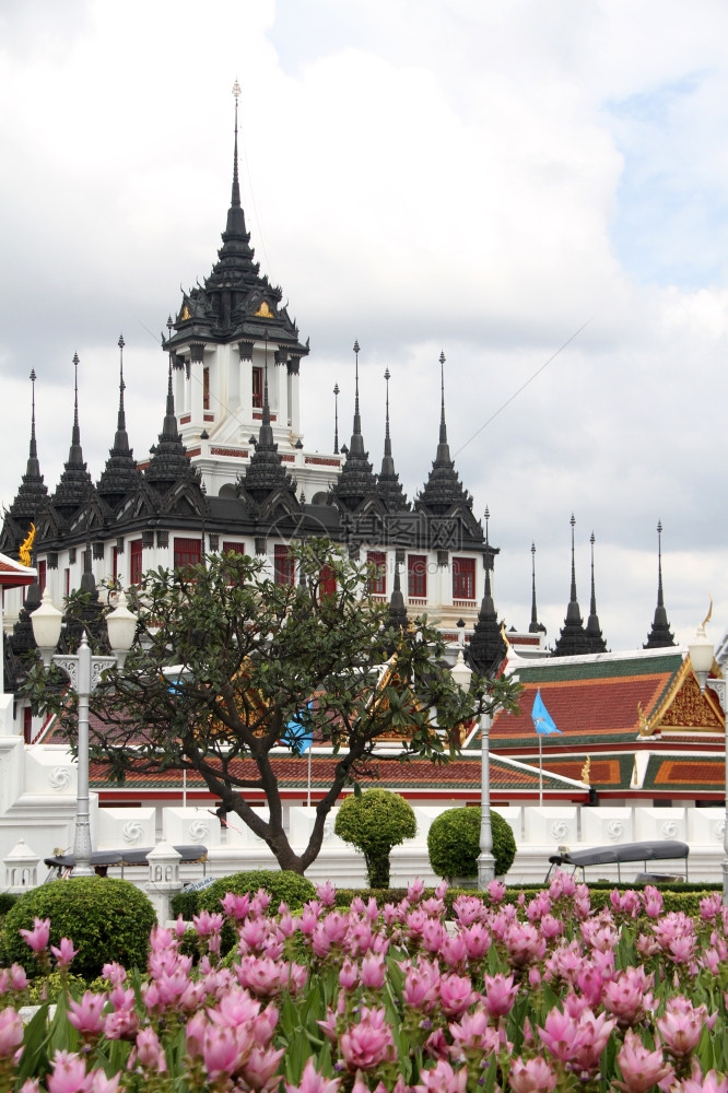 泰国曼谷的花和铁神庙LohaPrasat图片