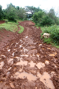 缅甸有水和森林的肮脏道路图片