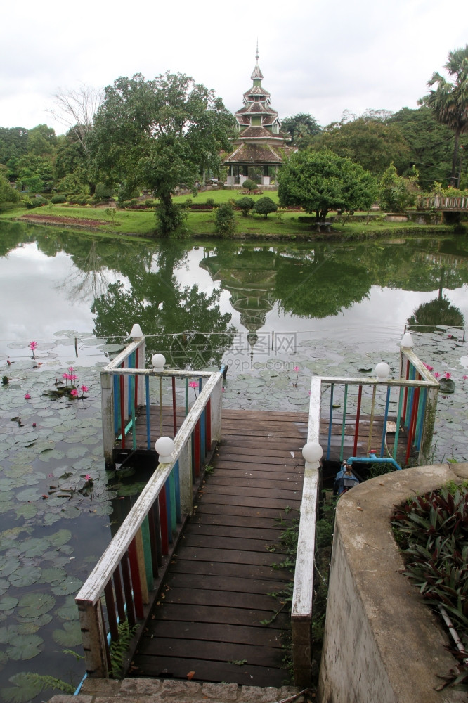缅甸仰光公园缅甸仰光的池塘彩粉和木塔图片