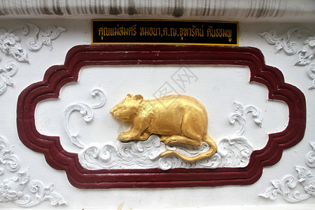 在泰国清迈WatChangTaem清迈WhatTaem的白切地下室金鼠背景图片